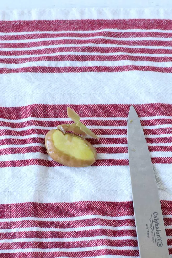 peeling the outer shell off of a fava bean